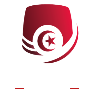 logo TS