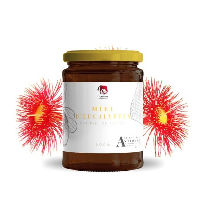 Miel d'eucalyptus TS