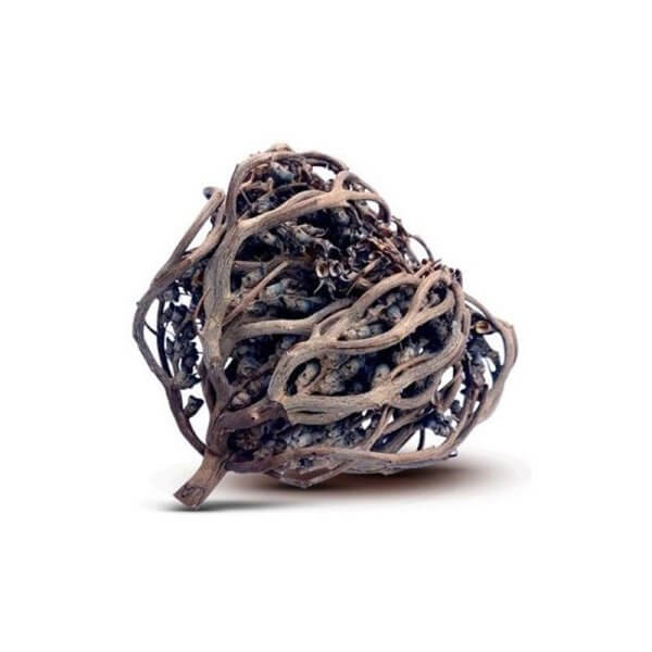 Kaf Meryem Rose de Jericho
