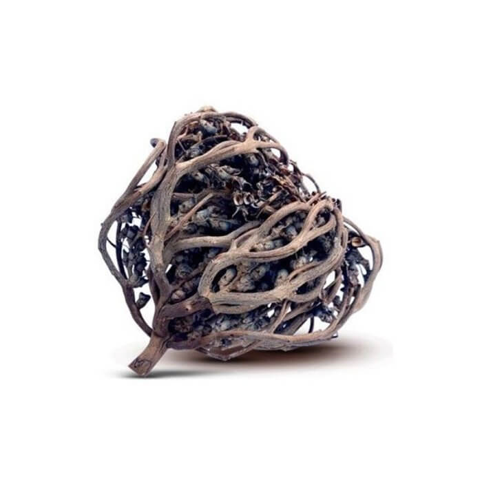 Kaf Meryem Rose de Jericho